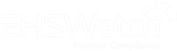 light logo